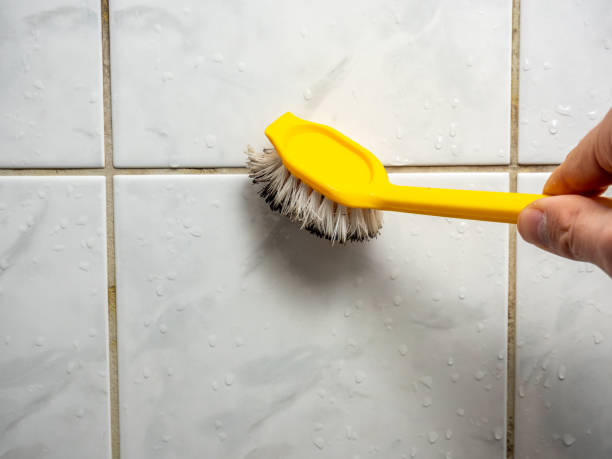 Best Mold Remediation Experts  in Summerside, OH