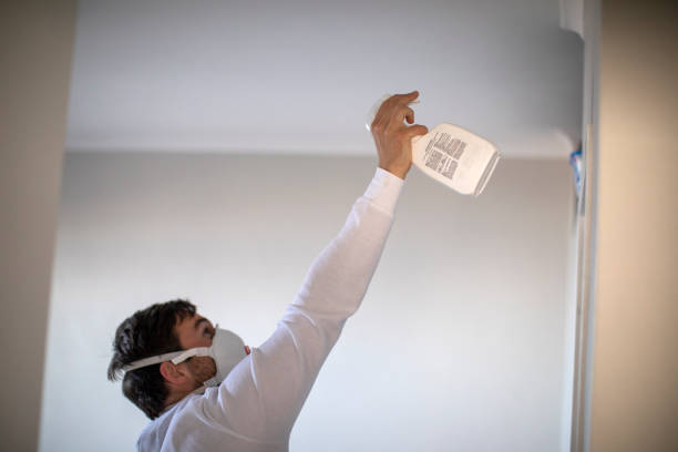 Best Fast Mold Removal  in Summerside, OH