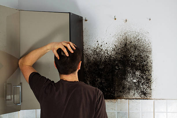 Crawl Space Mold Removal in Summerside, OH